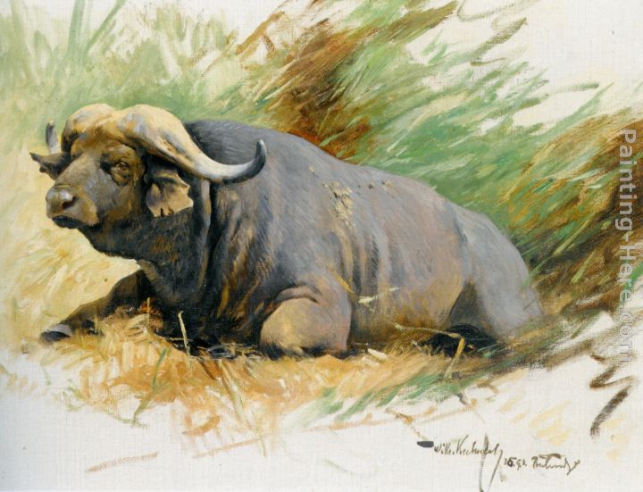 Studie Eines Kafferbuffels painting - Wilhelm Kuhnert Studie Eines Kafferbuffels art painting